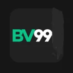 BV99 Game